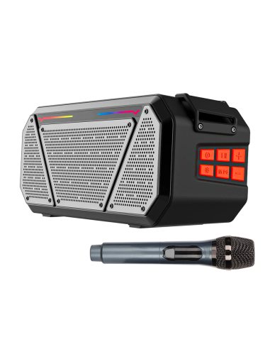 Enceinte stéréo portable Bluetooth sans fil lumières RVB et microphone Radio FM