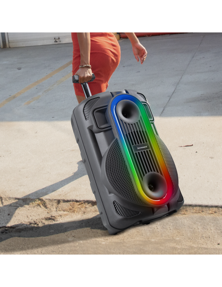 Haut-parleur Bluetooth portable caisson de basses Aux TF USB Radio FM microphone