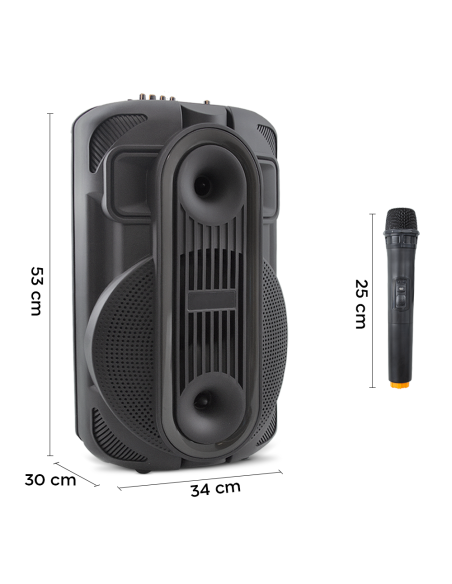 Haut-parleur Bluetooth portable caisson de basses Aux TF USB Radio FM microphone