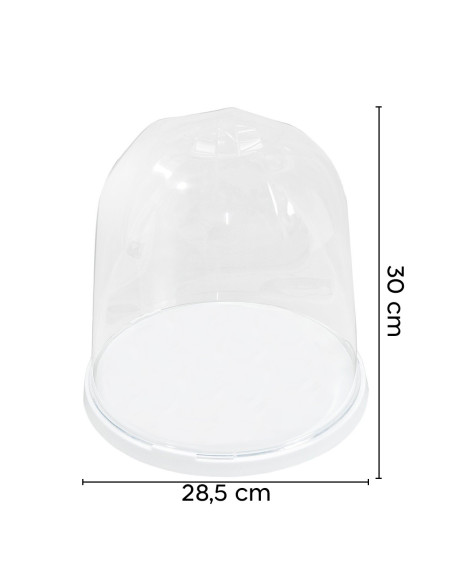 Porte-Panettone Forme de Cloche en Plastique avec Couvercle Transparent Plateau