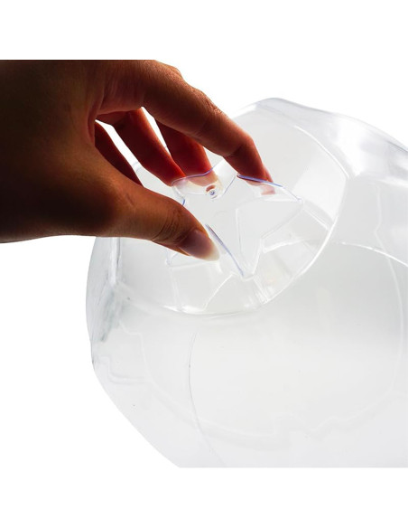 Porte-Panettone Forme de Cloche en Plastique avec Couvercle Transparent Plateau