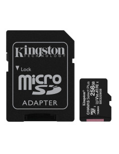 Kingston Canvas Select Plus SDCS2/256GB Carte MicroSD...