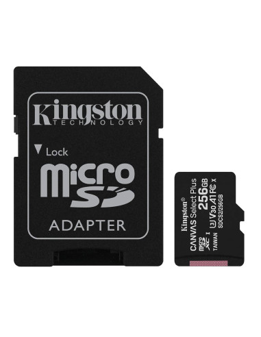 Kingston Canvas Select Plus SDCS2/256GB Carte MicroSD Classe 10 et Adaptateur SD