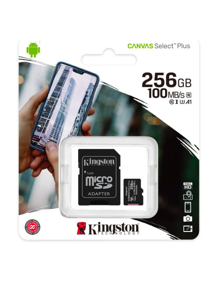Kingston Canvas Select Plus SDCS2/256GB Carte MicroSD Classe 10 et Adaptateur SD