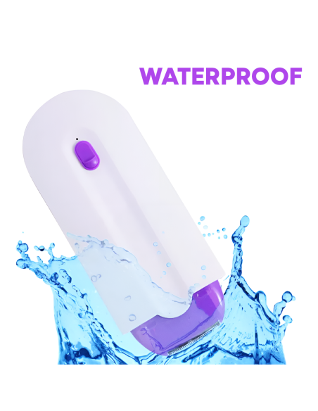 Épilation faciale corporelle portable rechargeable par USB avec lumière 2 têtes