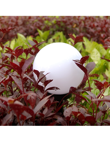 Lampe Sphérique Rechargeable Solaire 15cm pour...