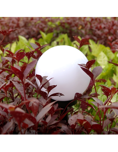 Pack 8 lampes solaires sphériques rechargeables de 15 cm... 2