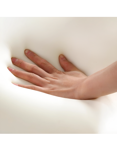 2 Oreillers Mousse Mémoire avec Arôme Frais...