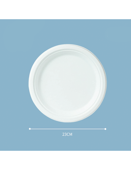Pack de 200 assiettes en carton de 23 cm jetables, biodégradables et écologiques
