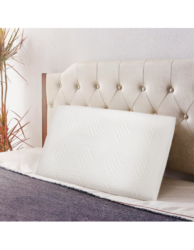 Oreiller en Memory Foam Cervical Fresco Respiro...