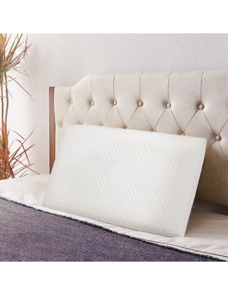 Oreiller en Memory Foam Cervical Fresco Respiro avec Essence d'Aloe Vera