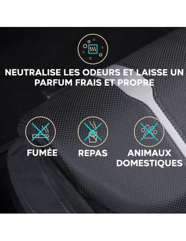 Détachant ALADIN pour Sièges Auto 400ml Idéal...