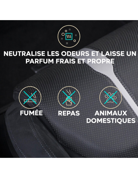 Détachant ALADIN pour Sièges Auto 400ml Idéal pour Tissus, Moquettes et Cuir