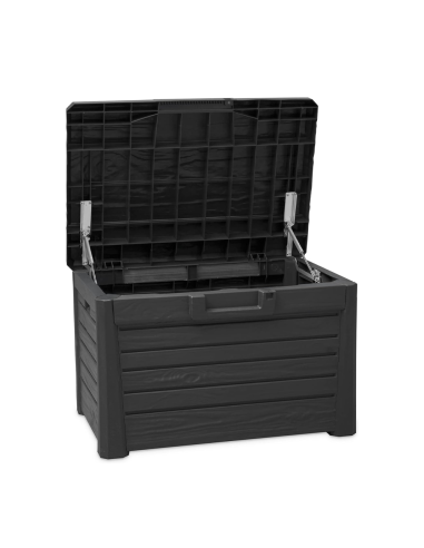 Coffre conteneur Rangement 160 LT en Résine...