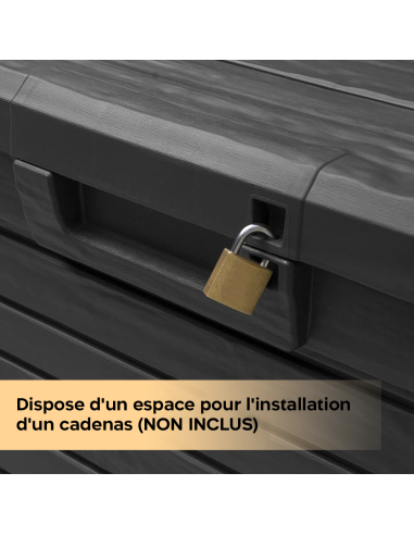 Coffre conteneur Rangement 160 LT en Résine...