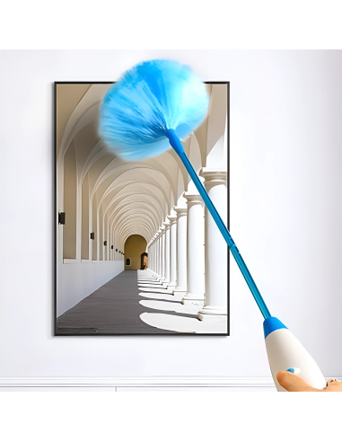 Plumeau Électrique Rechargeable Brosse Rotative...