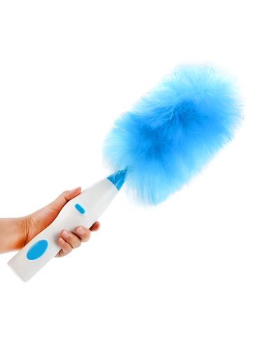 Plumeau Électrique Rechargeable Brosse Rotative...