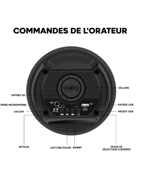 Haut-parleur Bluetooth avec microphone karaoké et lumière LED, portable