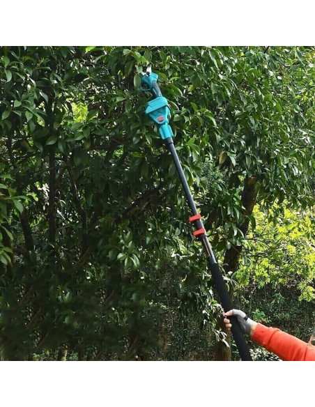 Kit 3 en 1 Ciseaux Électriques 48V avec Tronçonneuse 6" et Panneau Télescopique