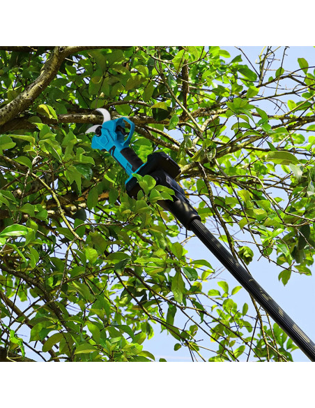 Kit 3 en 1 Ciseaux Électriques 48V avec Tronçonneuse 6" et Panneau Télescopique