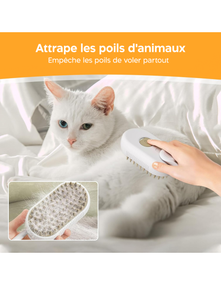Brosse de Massage Électrique à Vapeur sans Fil Rechargeable pour Chiens et Chats