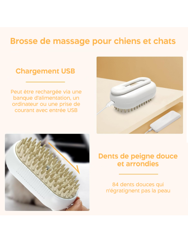 Brosse de Massage Électrique à Vapeur sans Fil...
