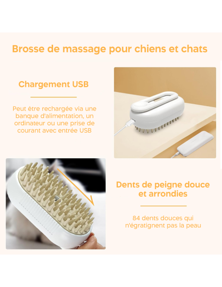 Brosse de Massage Électrique à Vapeur sans Fil Rechargeable pour Chiens et Chats