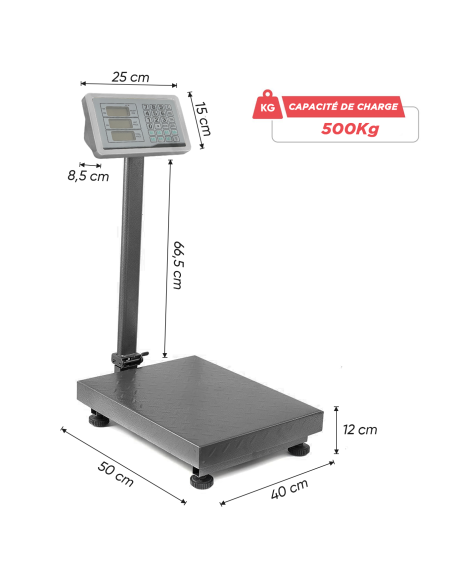 Balance industrielle 500kg professionnelle à haute précision avec écran LED