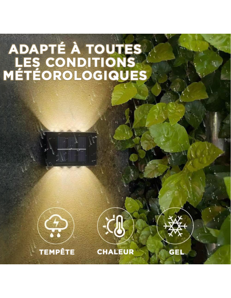 Applique Murale Solaire à 8 LED, Étanche, 2700K pour Extérieur
