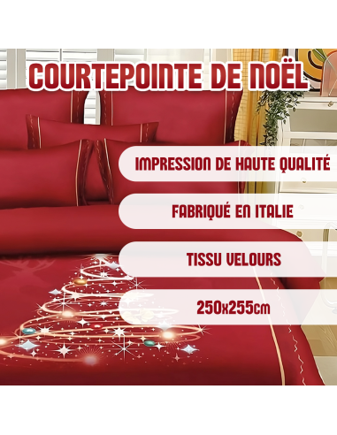 Couette matrimoniale en velours, impression...