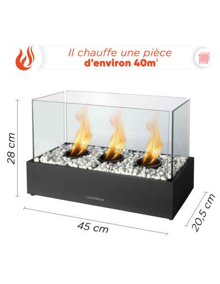 Cheminée Électrique Bioéthanol 1100W Décorative Flamme Réelle 45x20,5x28cm