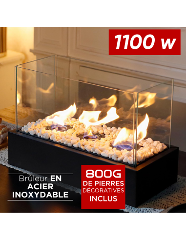 Cheminée Électrique Bioéthanol 1100W Décorative...