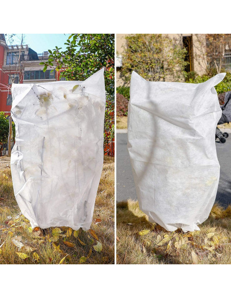 Capuche protection plantes couvre-plantes anti-gel respirant TNT 120x180cm