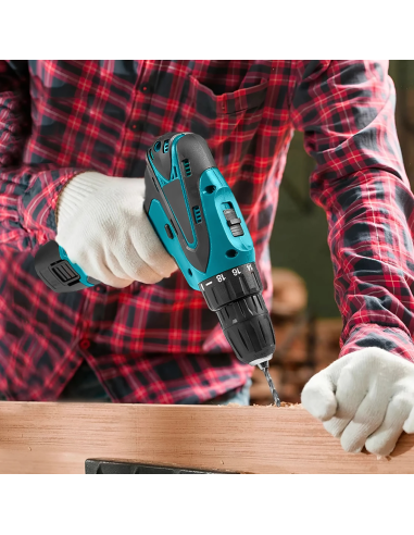 Perceuse-visseuse sans fil 12V avec double...