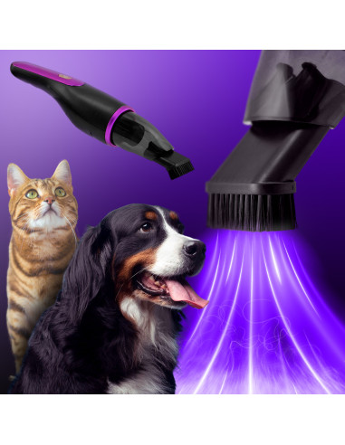 Aspirateur sans fil 100W, aspirateur à miettes...