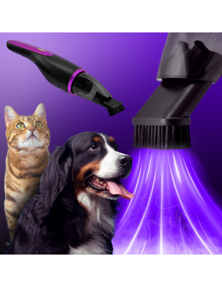 Aspirateur sans fil 100W, aspirateur à miettes pour voiture, balai HEPA