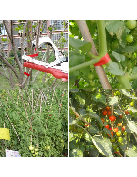 Pince Liante Manuelle à Bande pour Plantes, Attacheuse de Jardinage et Vignobles