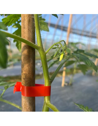 Pince Liante Manuelle à Bande pour Plantes,...