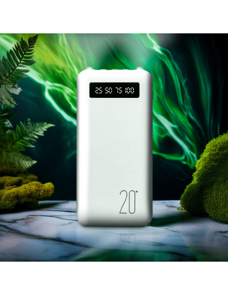 Power Bank 20000mAh Chargeur Rapide Portable avec 4 Câbles USB Inclus