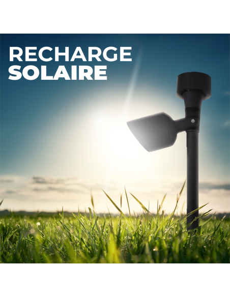 6 pcs Lampe solaire rechargeable 37 cm pour extérieur avec piquet pour jardin
