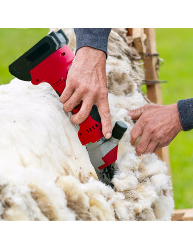 Tondeuse Moutons Double Batterie 48V...