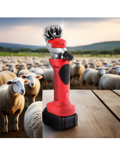 Tondeuse Moutons Double Batterie 48V Rechargeable Kit &... 2