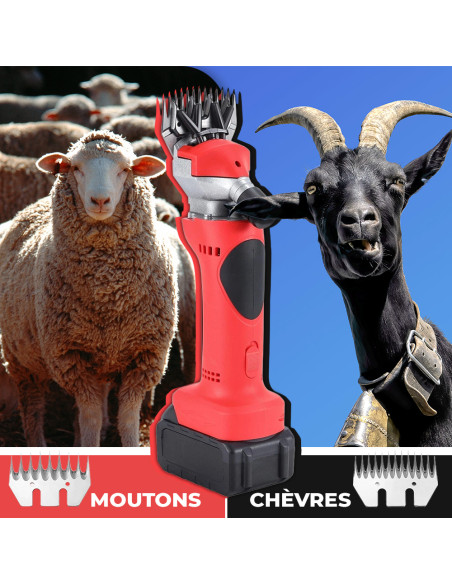Tondeuse Moutons Double Batterie 48V Rechargeable Kit & Mallette