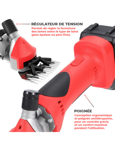Tondeuse Moutons Double Batterie 48V...