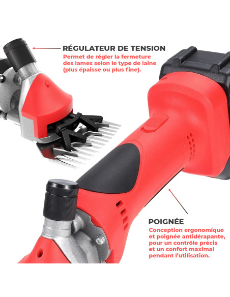 Tondeuse Moutons Double Batterie 48V Rechargeable Kit & Mallette