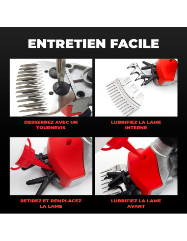 Tondeuse Moutons Double Batterie 48V...