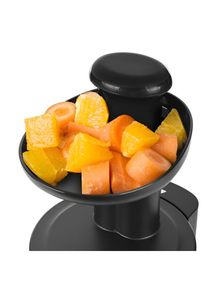 Extracteur de Jus Fruits et Légumes à Froid 150W Réservoir Jus et Pulpe