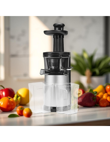 Extracteur de Jus Fruits et Légumes à Froid 150W Réservoir Jus et Pulpe