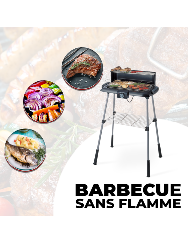 Barbecue Électrique 2200W H88cm: Grille...