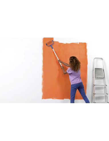 Lot 2 Rouleaux Peinture Anti-Goutte Réservoir...